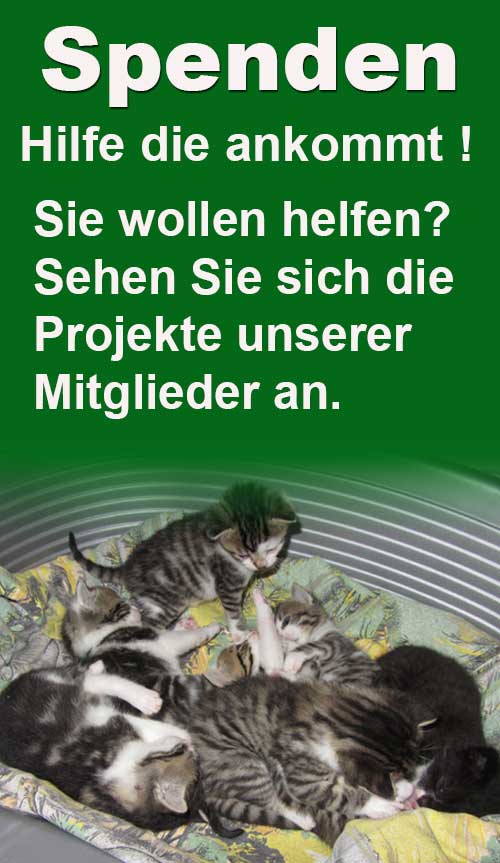 Spenden Sie für unsere Tierschutzprojekte